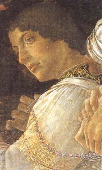 Sandro Botticelli Young kneeling mago Spain oil painting art